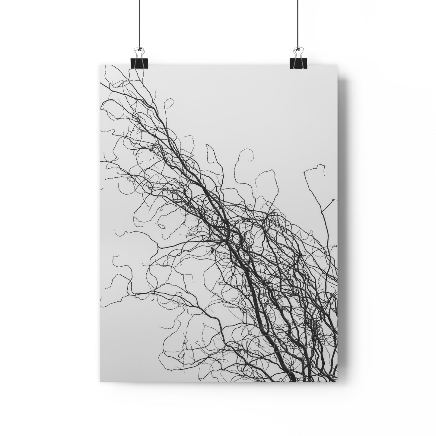 Art Print - Gnarled Bald Tree Branches