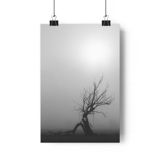 Giclée Art Print, Black and White Tree Photo, Wall Art Decor, Nature Lover Gift, Minimalist Home Decor, Ent Tree Art, Foggy Day Print
