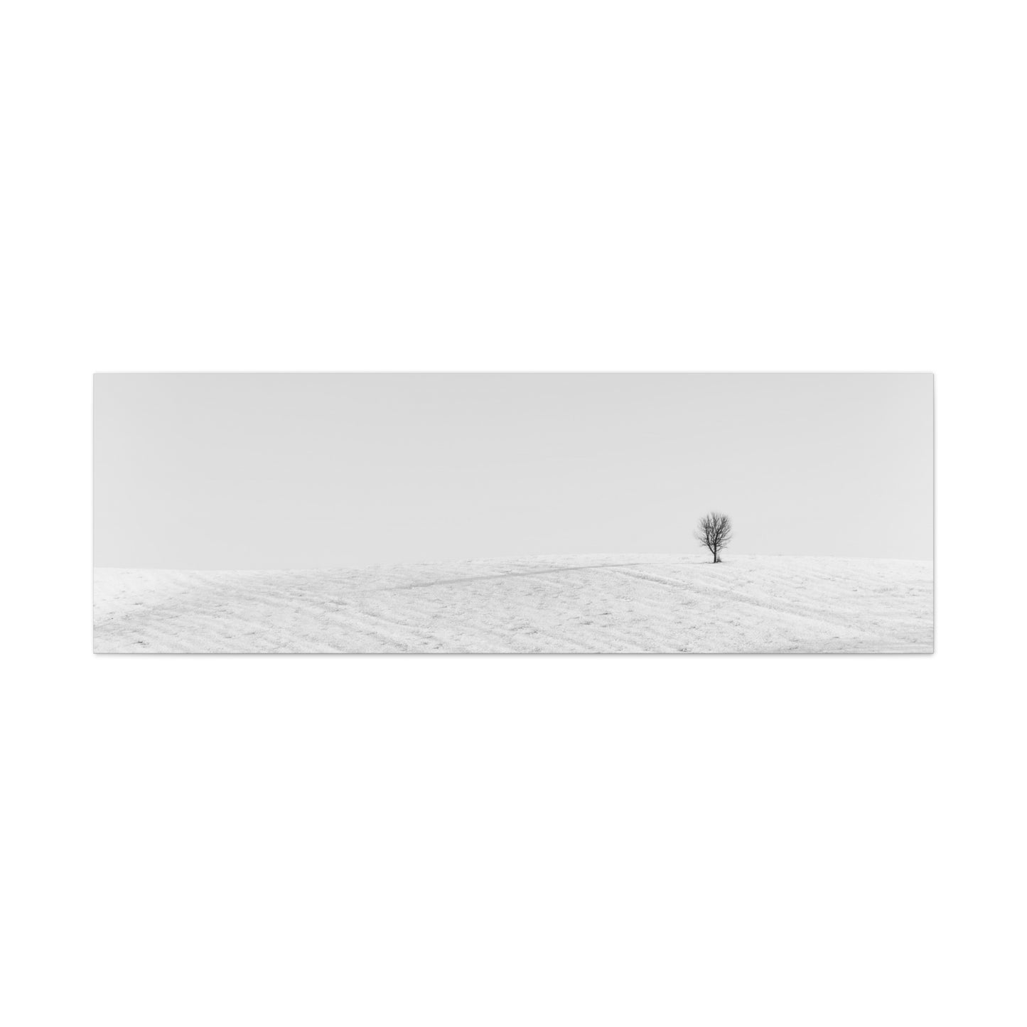 Canvas Print Lone Tree Winter Photography