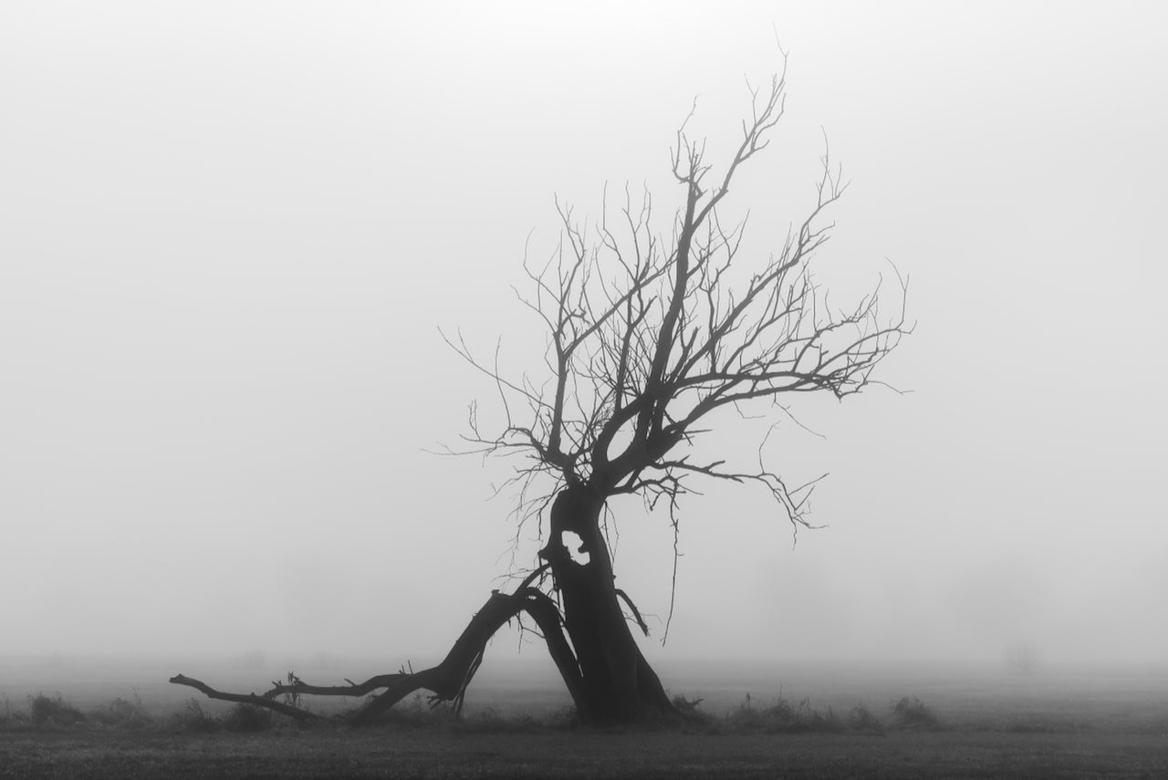 Az utolsó őrszem – vászonkép